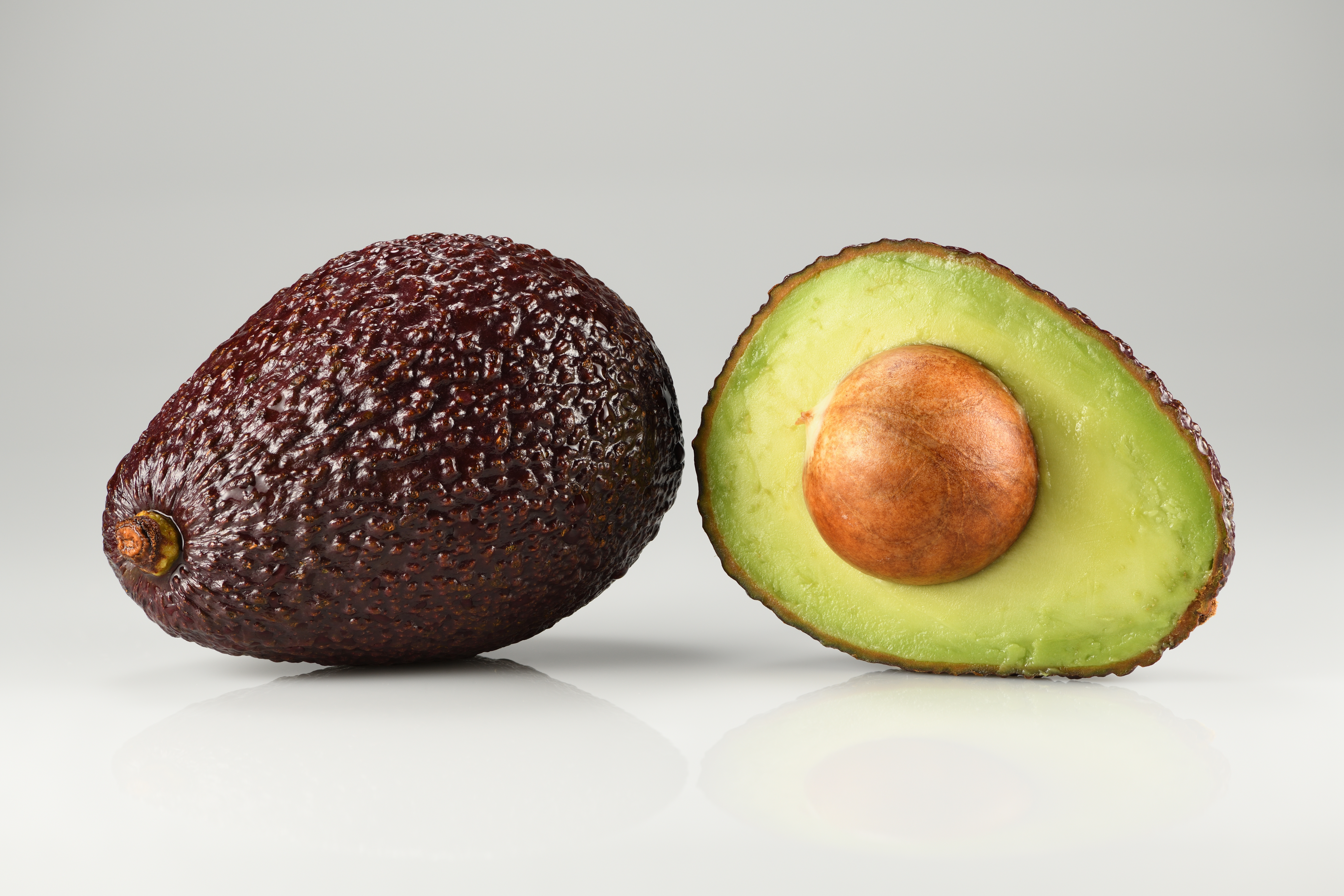 Avocado Farm